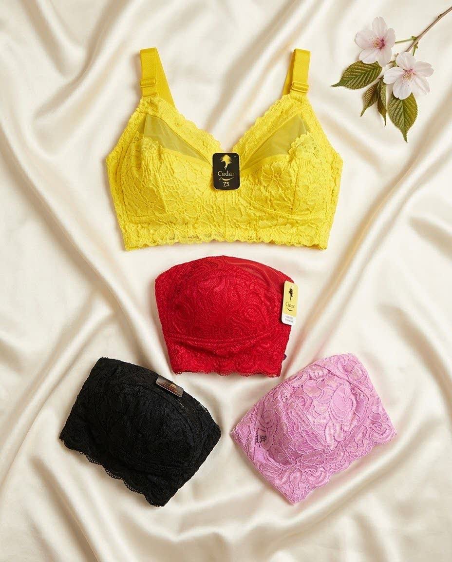سوتین گیپور دالبری
